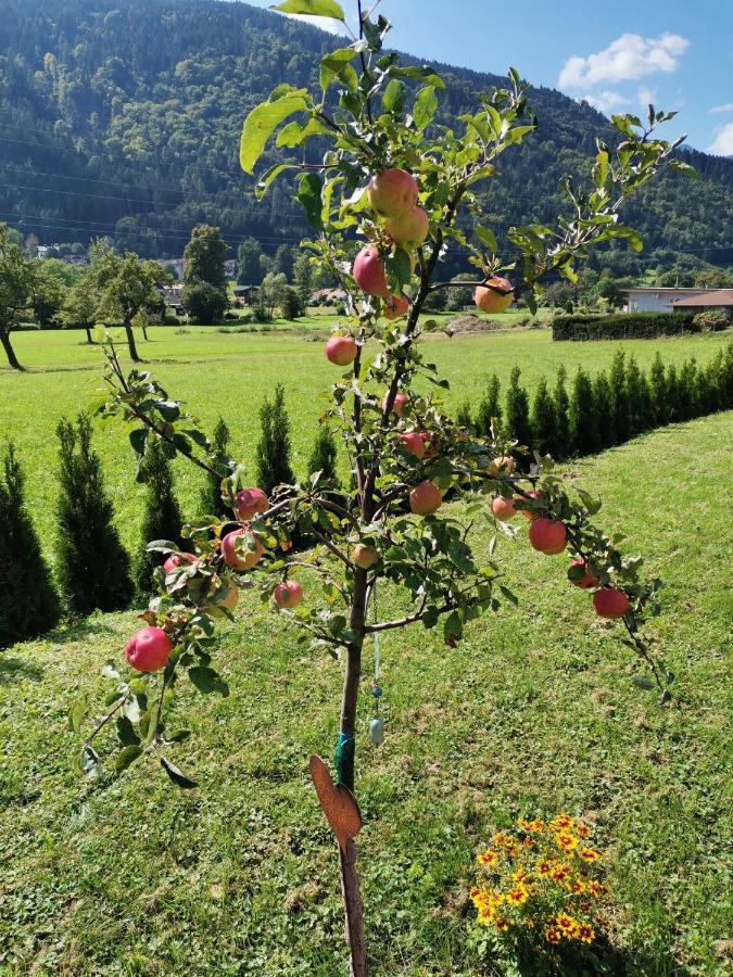 Apartment - Ferienwohnung 2 Treffen Am Ossiachersee Экстерьер фото